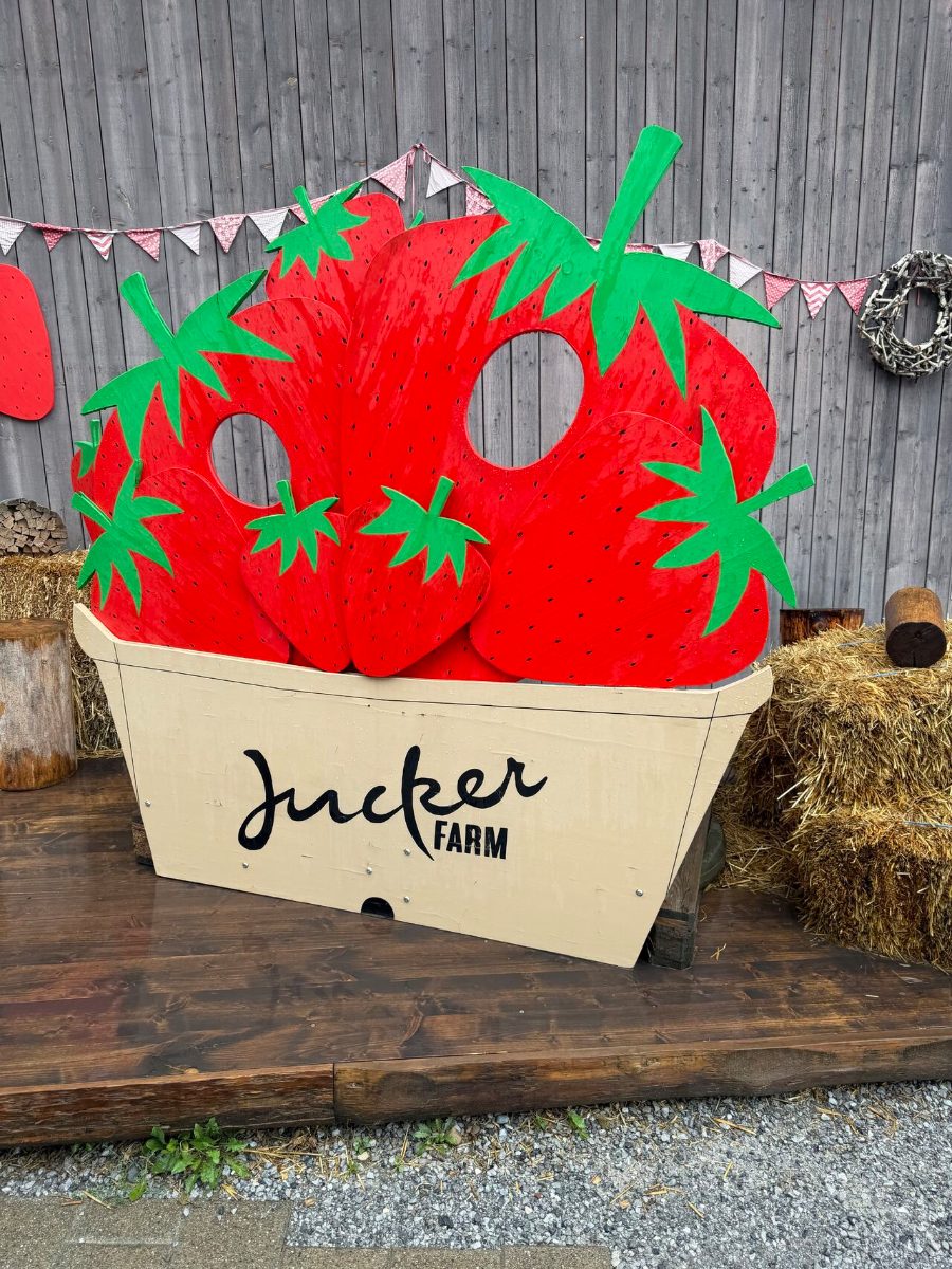 Sommerevent auf der Jucker Farm